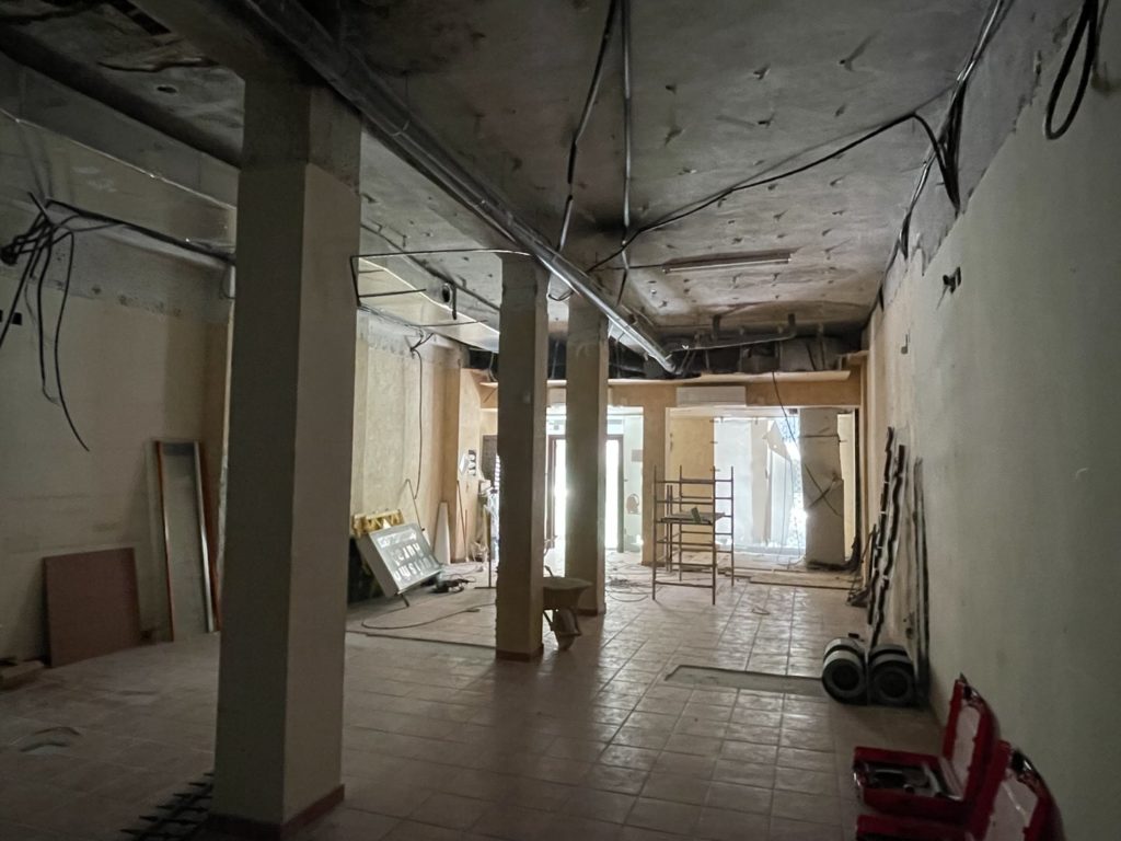 Reforma local comercial oficina en Montes de Oca - Málaga - Obra - 3 - Demoliciones falsos techos y tabiques divisorios