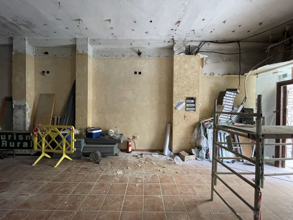 Reforma local comercial oficina en Montes de Oca - Málaga - Obra - 6 - Demoliciones falsos techos y tabiques divisorios