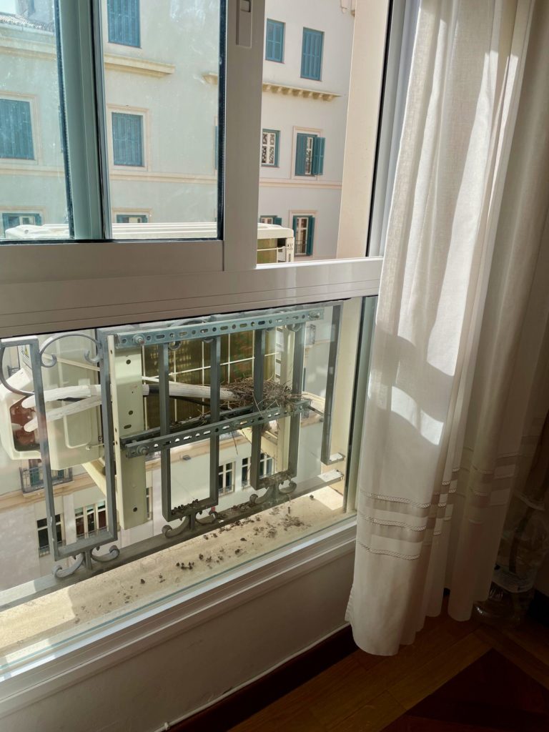 proyecto división vivienda - estado original - 61